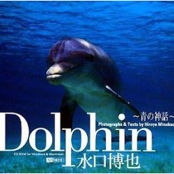 ̑ Dolphin ~̐_b~ 